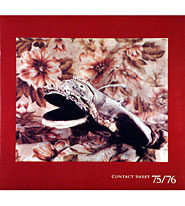 Contact Sheet