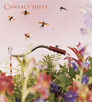 Contact Sheet