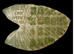 Ben Gest exhibition