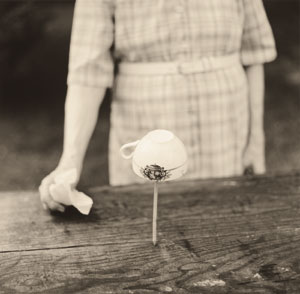 gowin