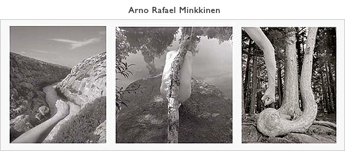 Minkkinen
