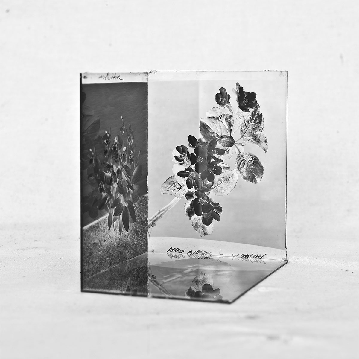 2015_AIR_JamesHenkel James Henkel