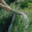 momfountain_3 001