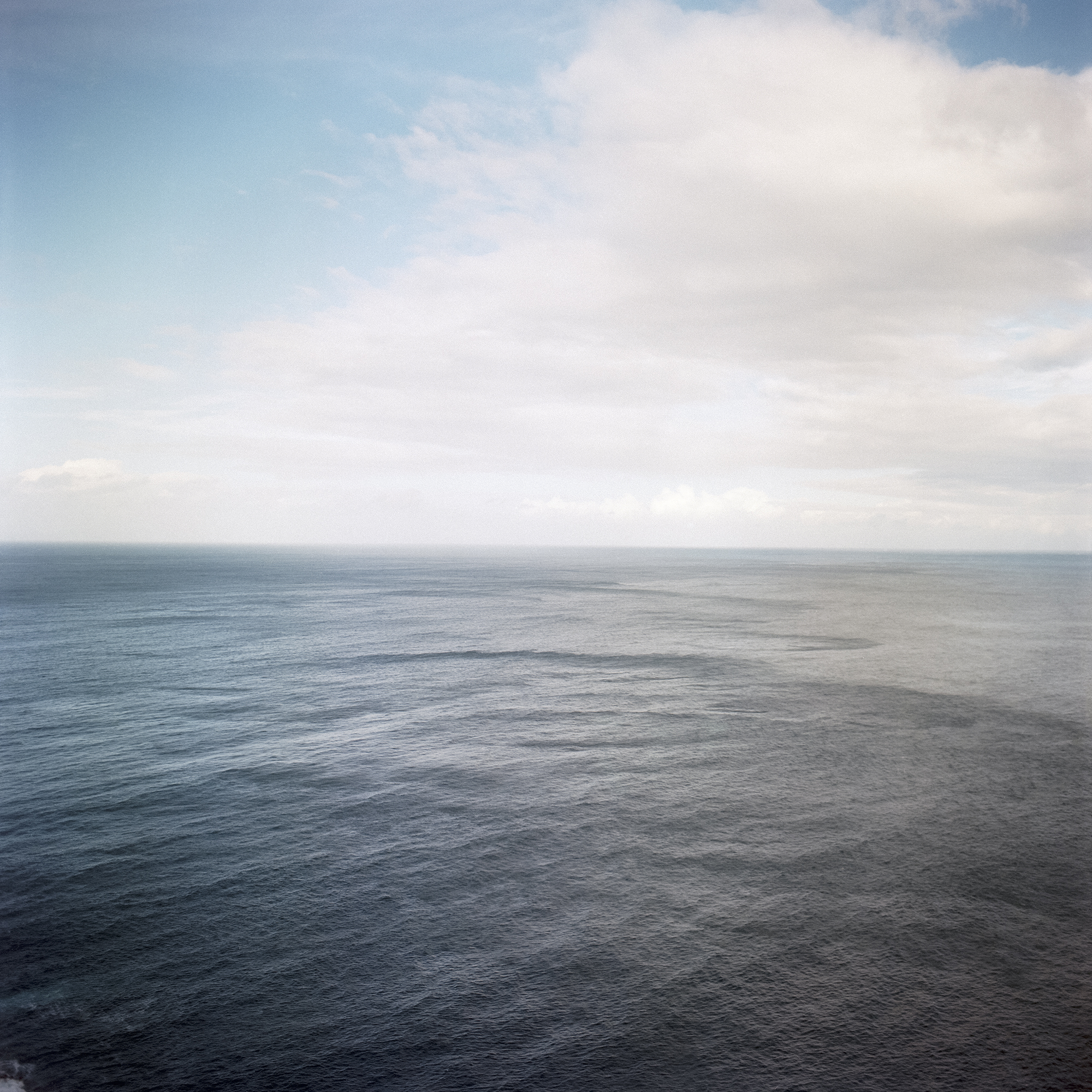 madeira-14×14