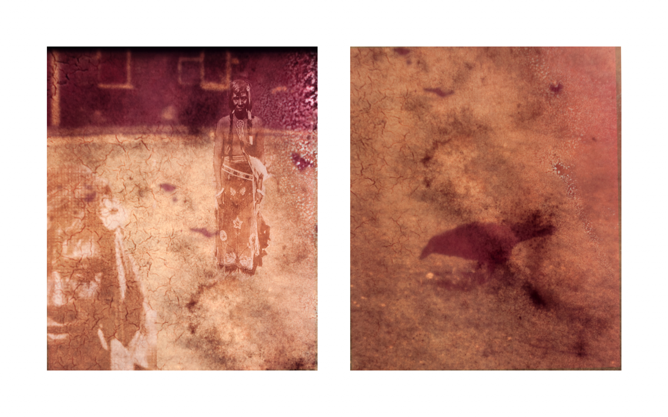 ‘Bird Woman’, from the series Nitssapani, My Blood